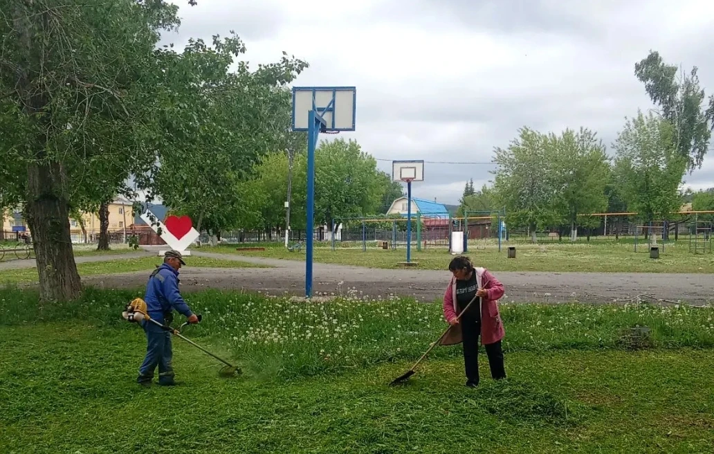 Сотрудники детского сада, на субботнике в Парке (рабочий сад), скосили траву триммером и собрали её.