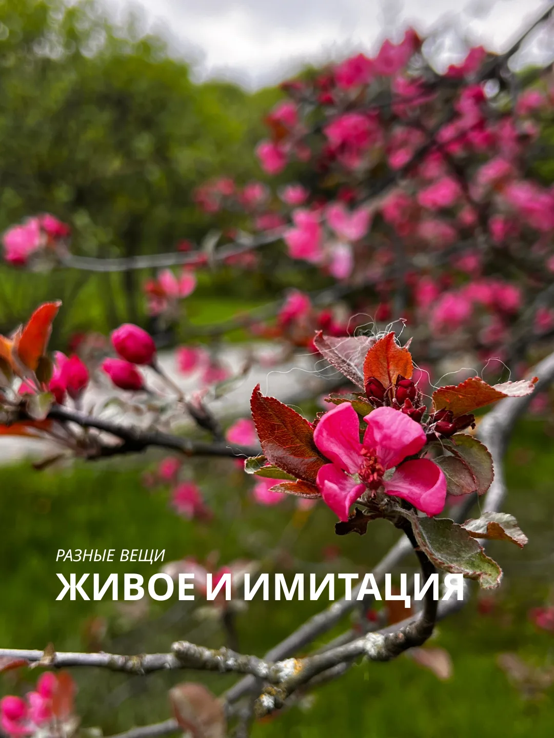 Это неудобная правда в эпоху, когда кажется, что любой навык можно самому в одиночку по...