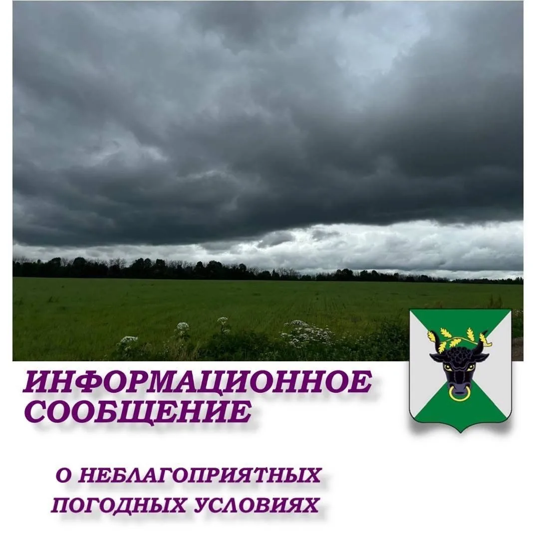 ИНФОРМАЦИОННОЕ СООБЩЕНИЕ
 
о неблагоприятных погодных условиях на территории Тульской области
(по да