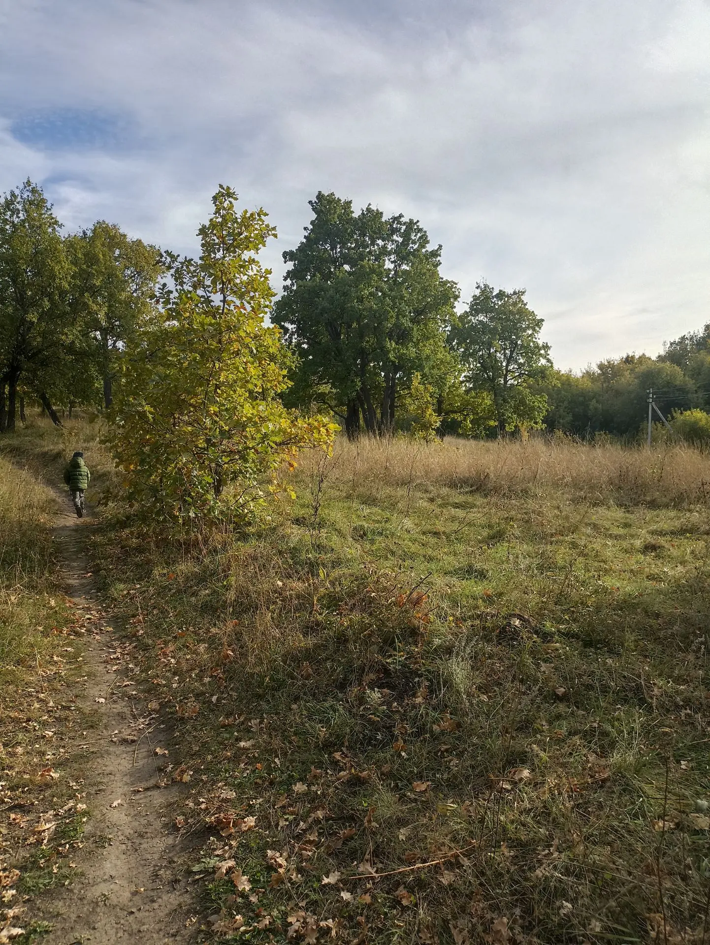 Прогулялись по лесочку 🌳... немного развеялась, успокоилась, отвлеклась 👍