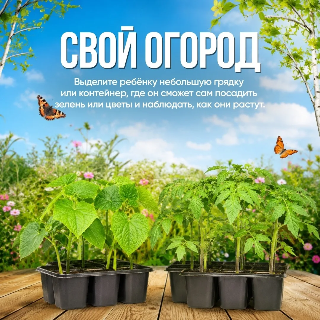 Чем занять ребенка на даче? 🌿

Детям быстро надоедают однообразные игры. За городом можно придумать