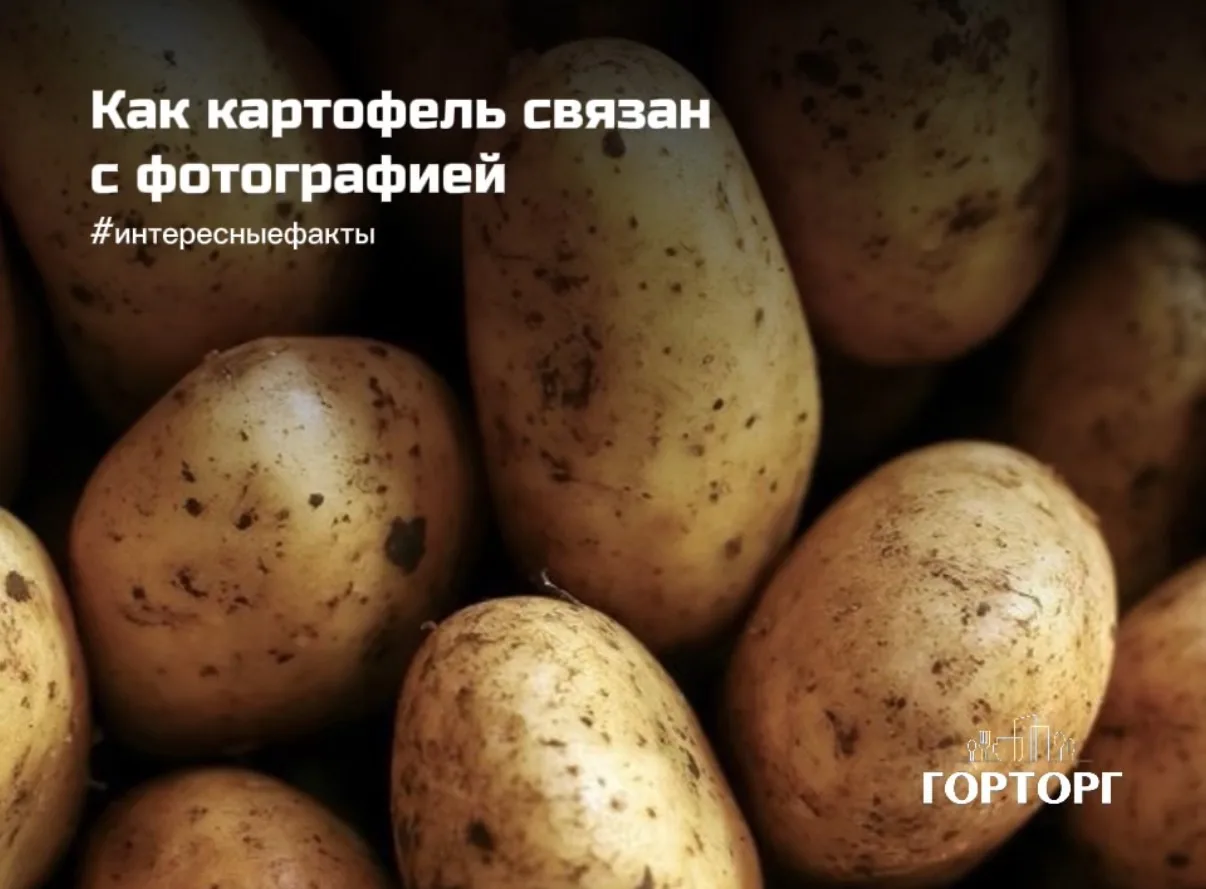 Ежедневно мы готовим, едим и выбираем продукты, даже не подозревая, какие удивительные ...