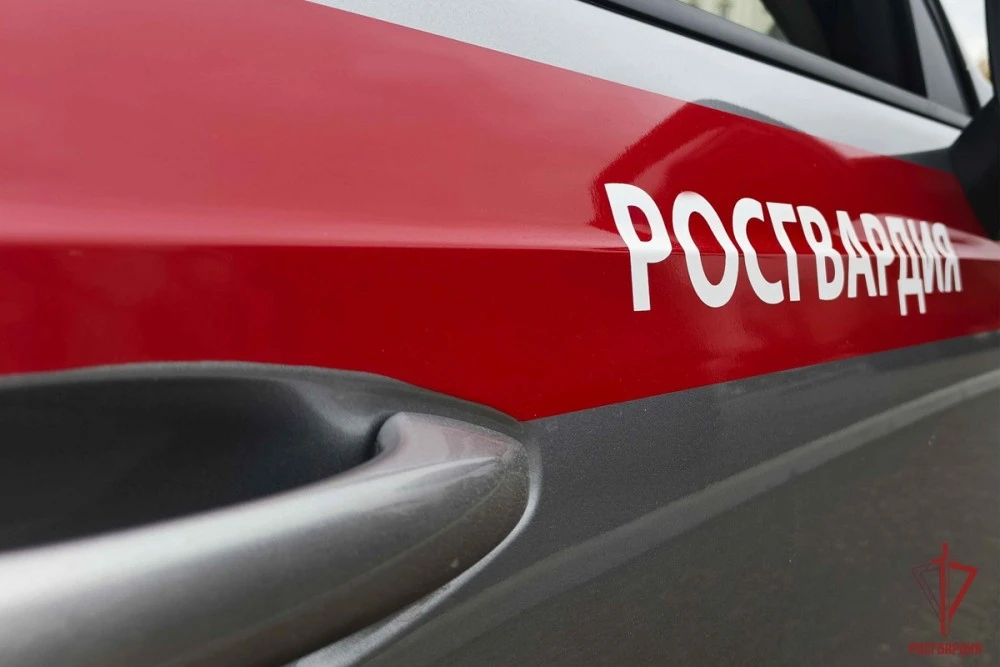 Росгвардейцы за неделю пресекли около 50 административных правонарушений в Тульской обл...
