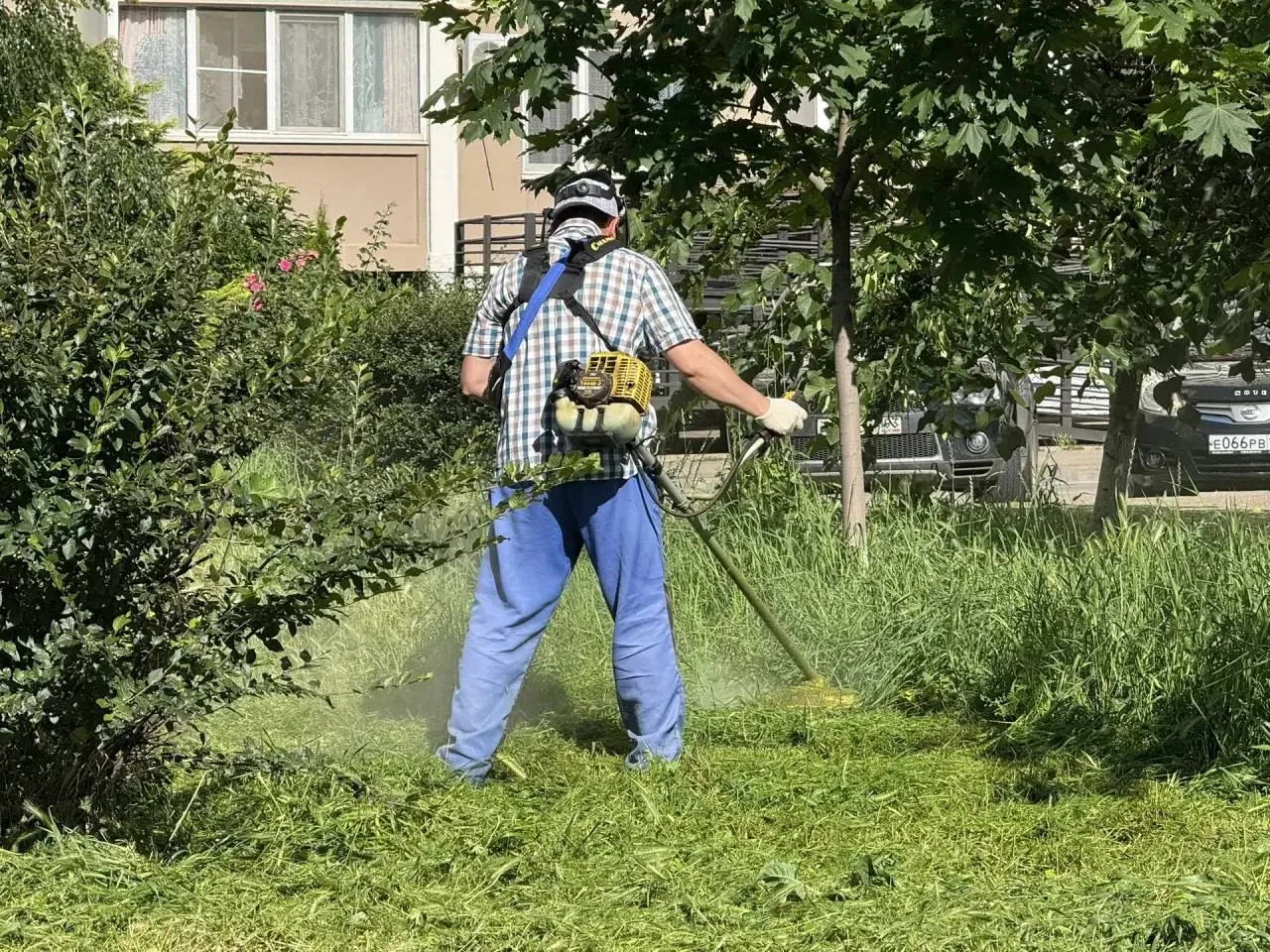 🌱 В Краснодаре выкосили более 6 тыс гектаров сорной растительности

Особое внимание уделяется частн