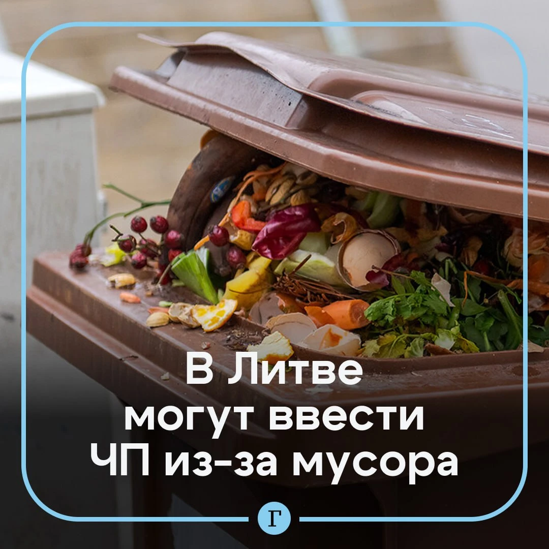 Власти Литвы обсуждают введение ЧП государственного уровня из-за свалок.