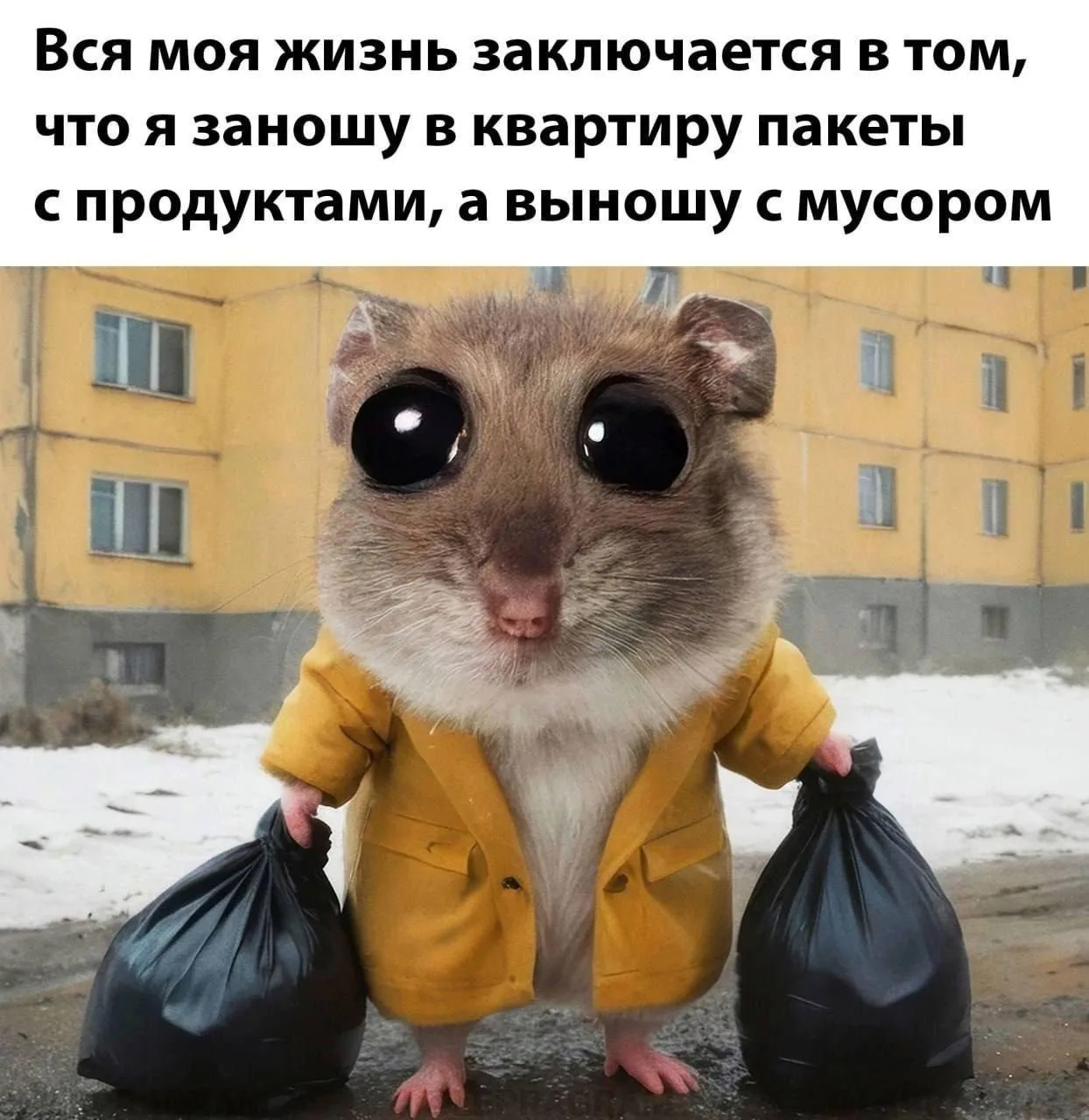 Правда жизни 🥹