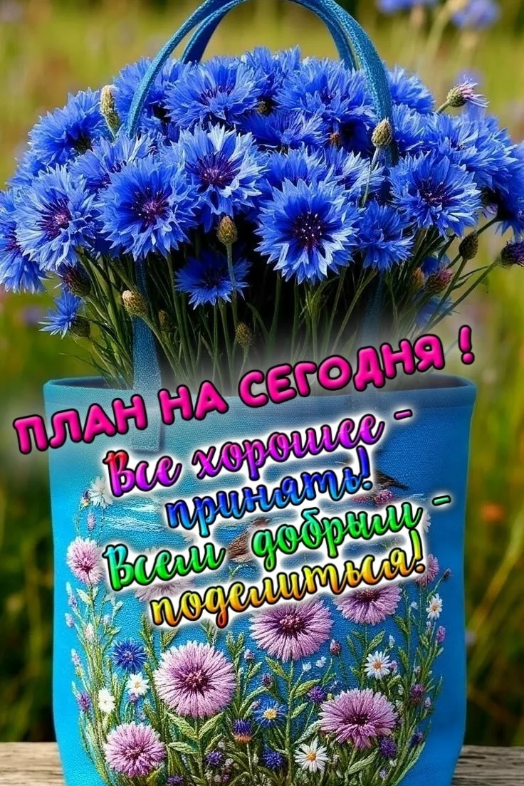 ✔️Спасибо за  реакции 😍❤️👍