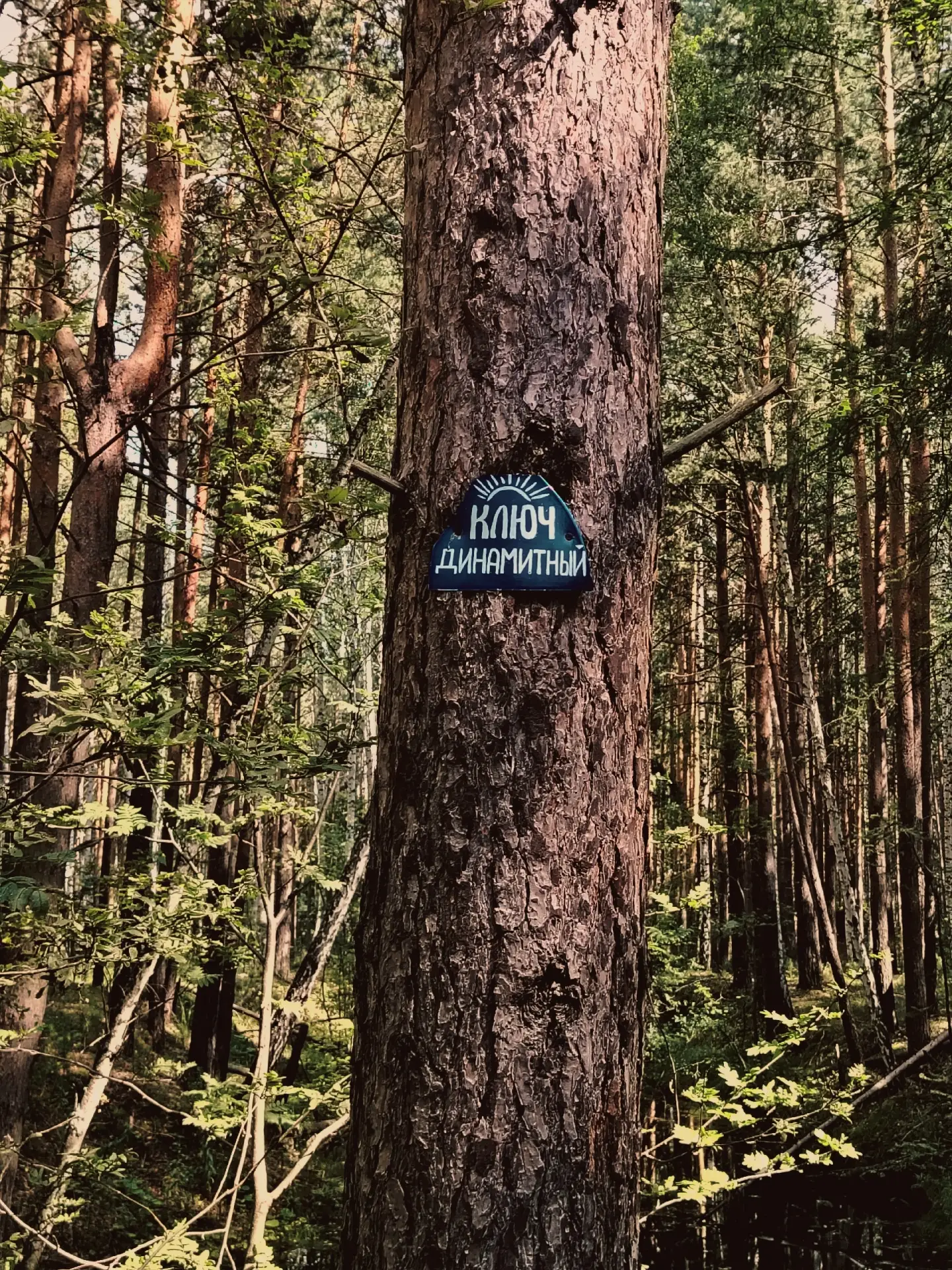 📍 Родник «Динамитный ключ», Кыштымский городской округ