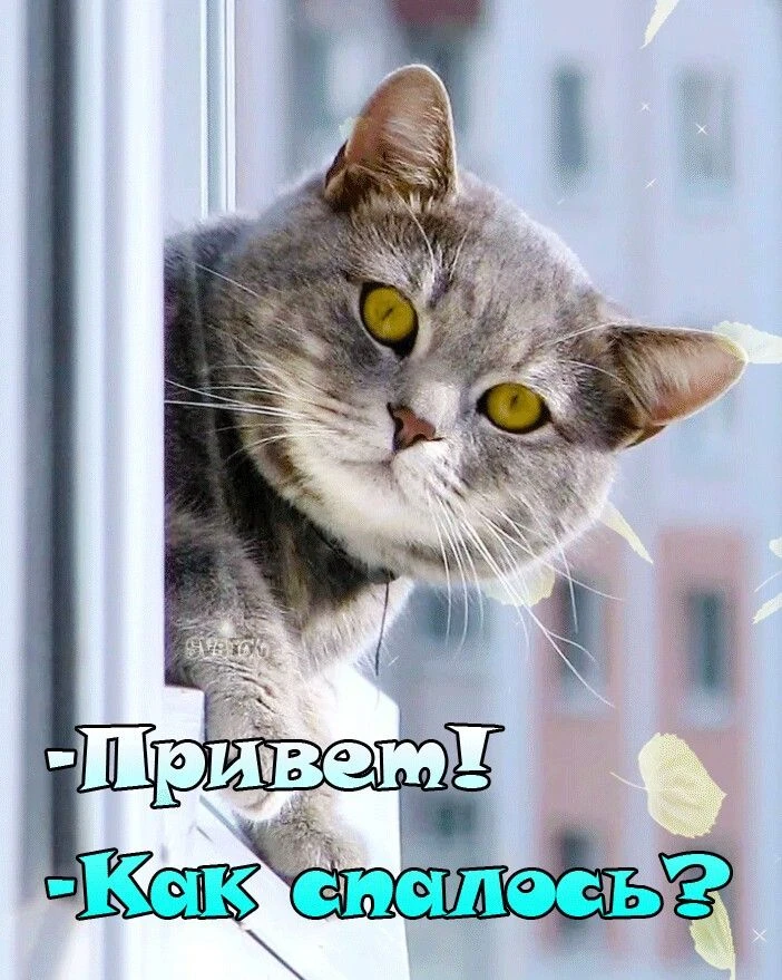 Лучшая открытка!
Подпишись и сохрани открытку
