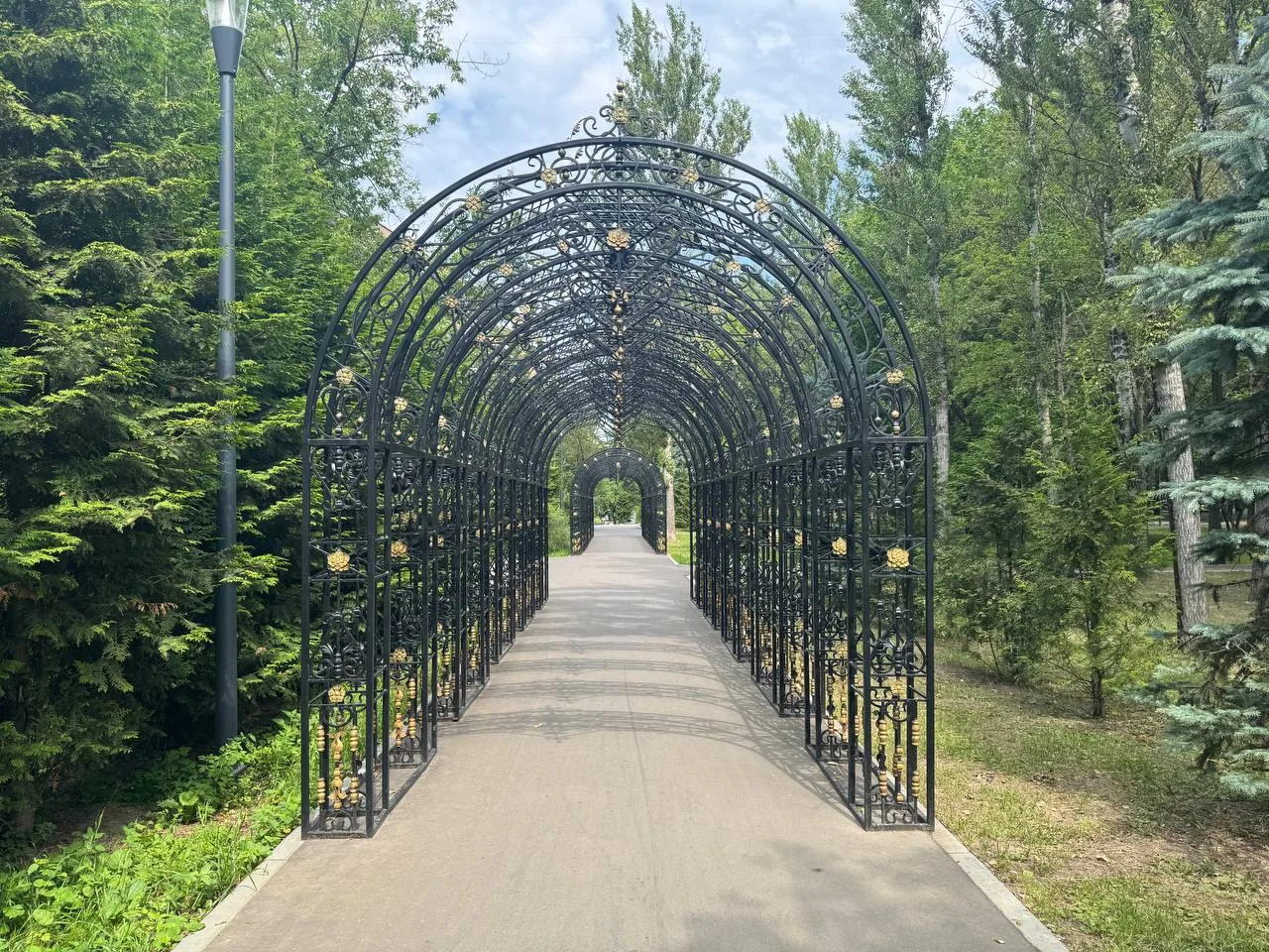 🌳 Сквер Молодоженов