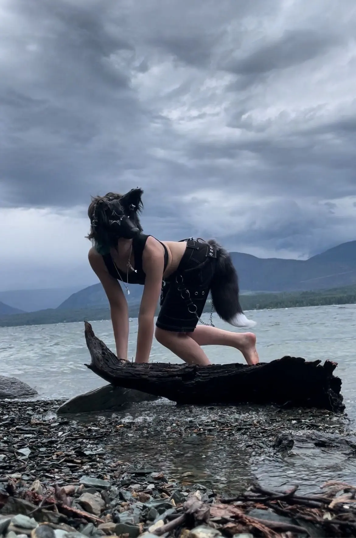 🌿🐾этот волк испугался🐾🌿