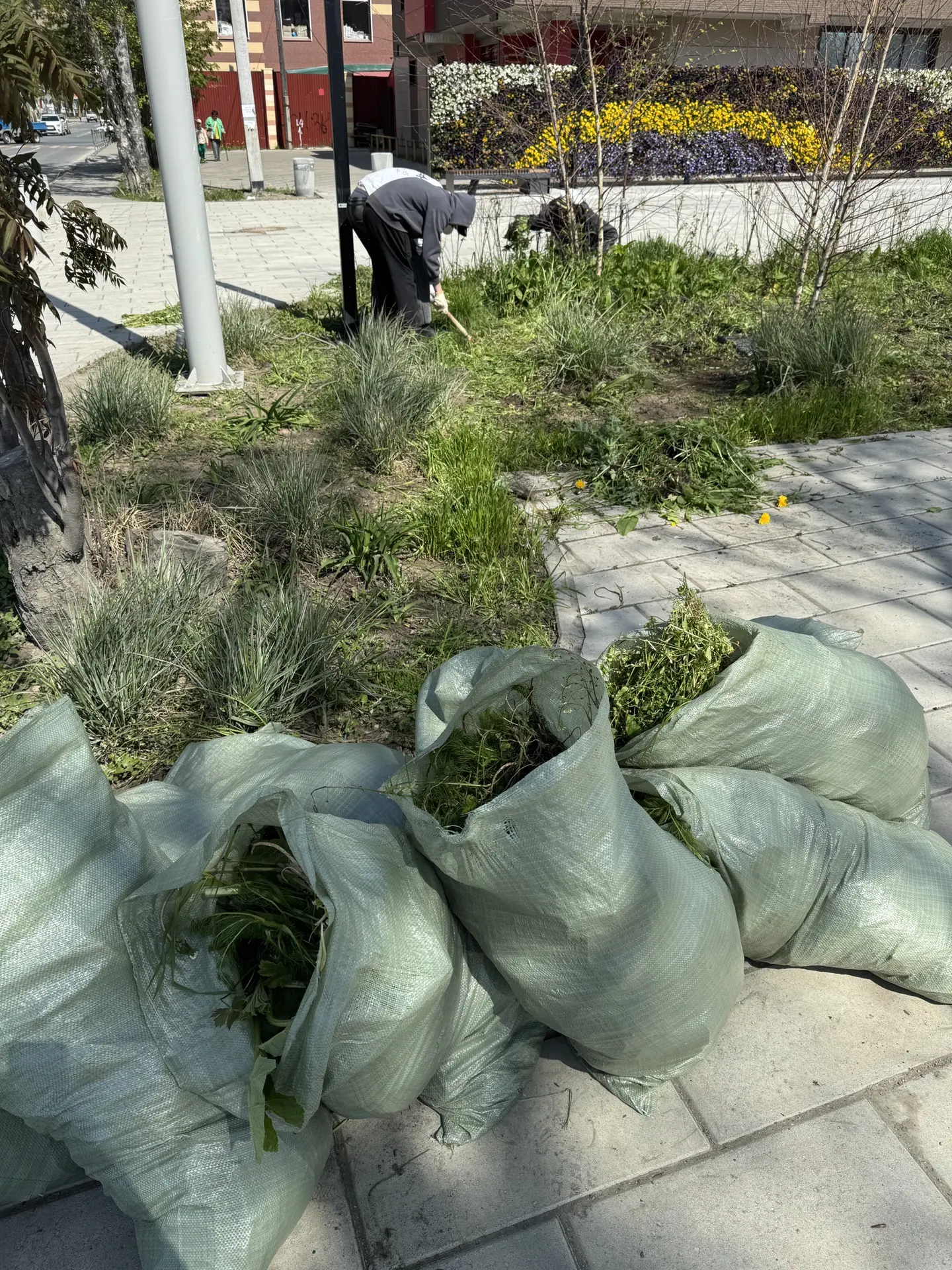 🌿 Трудовое лето началось!

С 1 июня начала свою работу трудовая бригада несовершеннолетних. В этом 