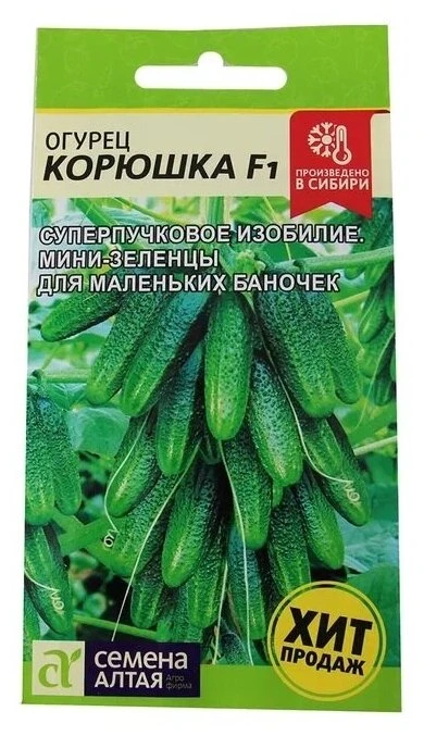 Девочки, вижу вопросы про сорта огурцов.
Я в этом году выращиваю:
🥒 Корюшка
🥒 Кураж
🥒 Изумрудный 