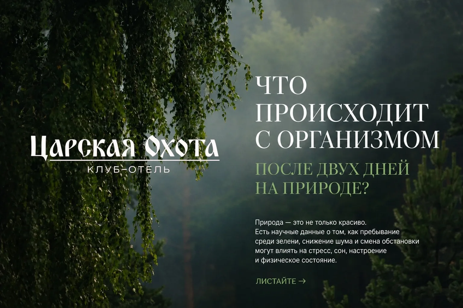 Меньше шума, свежий воздух и отсутствие привычной городской суеты — всё это помогает пе...