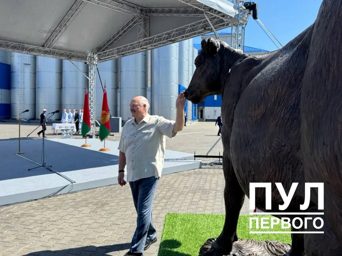 Лукашенко предложил поставить корове памятник — "Савушкин" уже выполнил

Подарок от предприятия займ