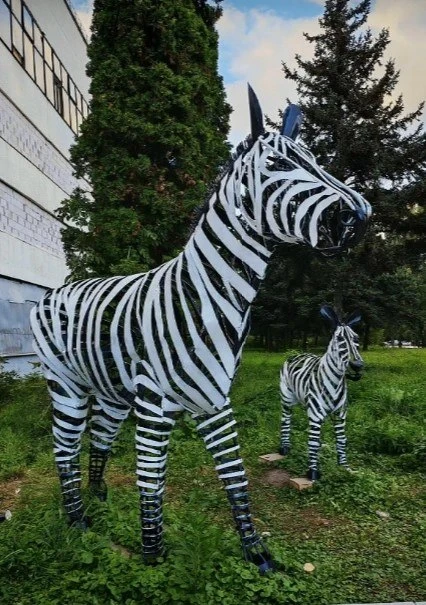 В Орле заметили зебр 🦓