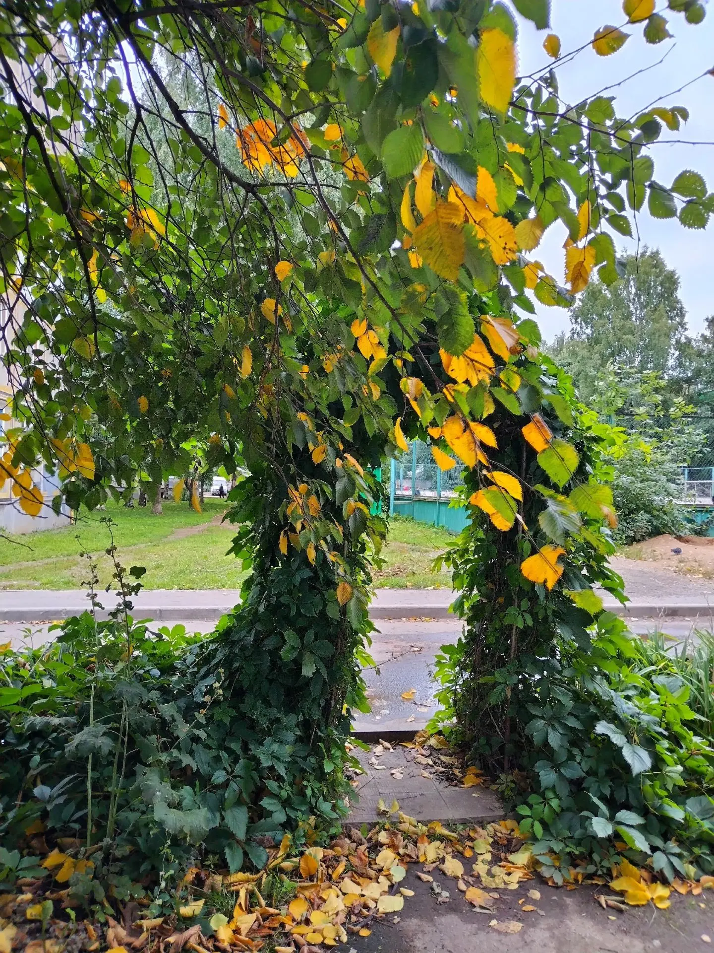 🍁🍂🍁 Сентябрь у славян назывался хмурень (портится погода, приходят дожди, дни станов...