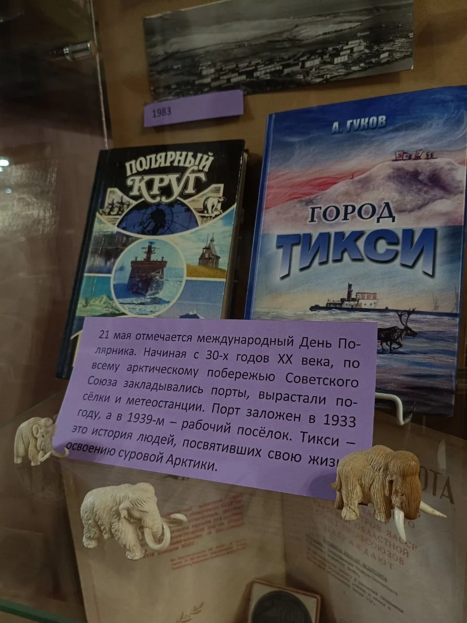 Приходите посмотреть на Арктику… не выезжая из Горячего Ключа!