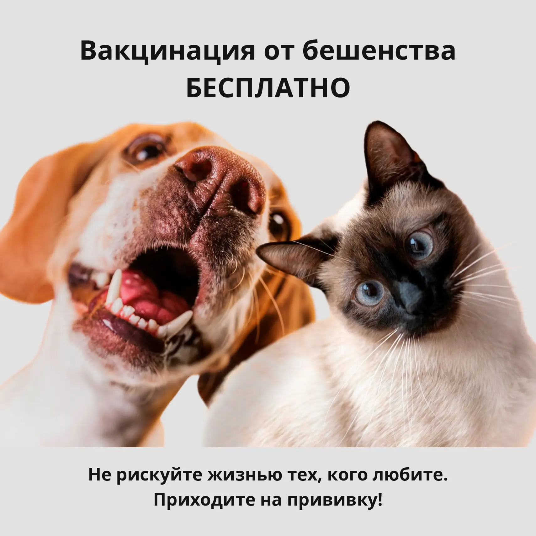Бешенство: Болезнь, которую НЕЛЬЗЯ вылечить!