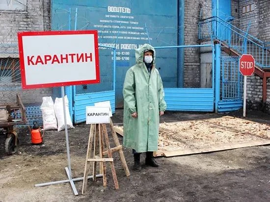 🦠 В Роспотребнадзоре прокомментировали риск хантавируса в Мурманской области  В ведомстве сообщили, 