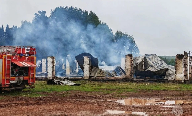 🔥 В селе Белая при пожаре погибли сотни сельхозживотных