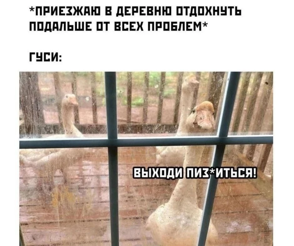 #ТвойОрскЮмор