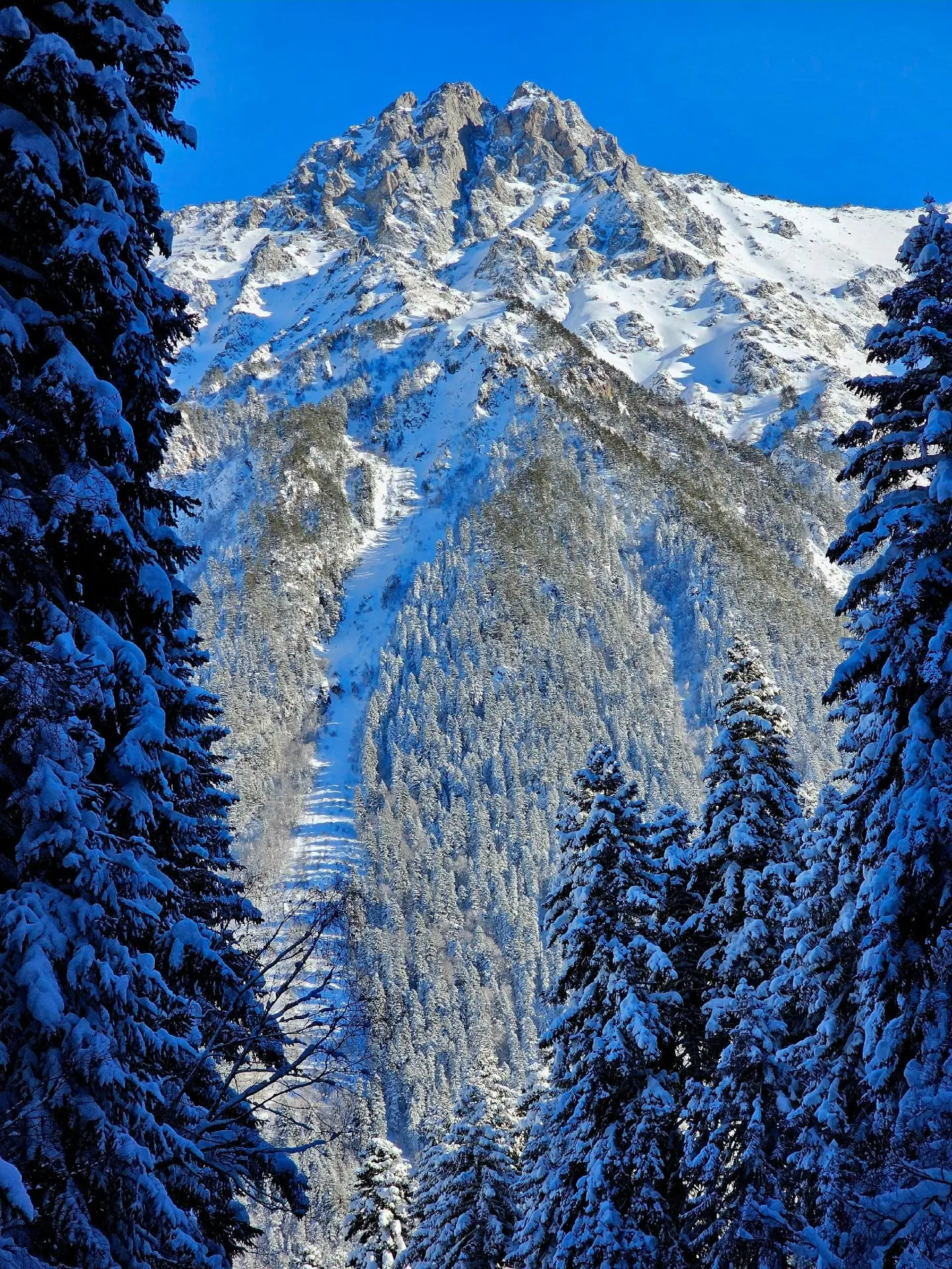 И это тоже Архыз ❄️