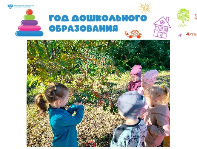 Весёлые истории на прогулке ребят средней группы "Радуга" МБДОУ № 3 "Ласточка". В теплы...