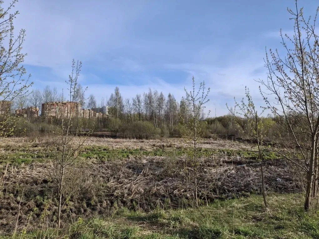 🚒С 20 апреля 2026 года в Московской области введен особый противопожарный режим.  🔥Волонтеры нашего 
