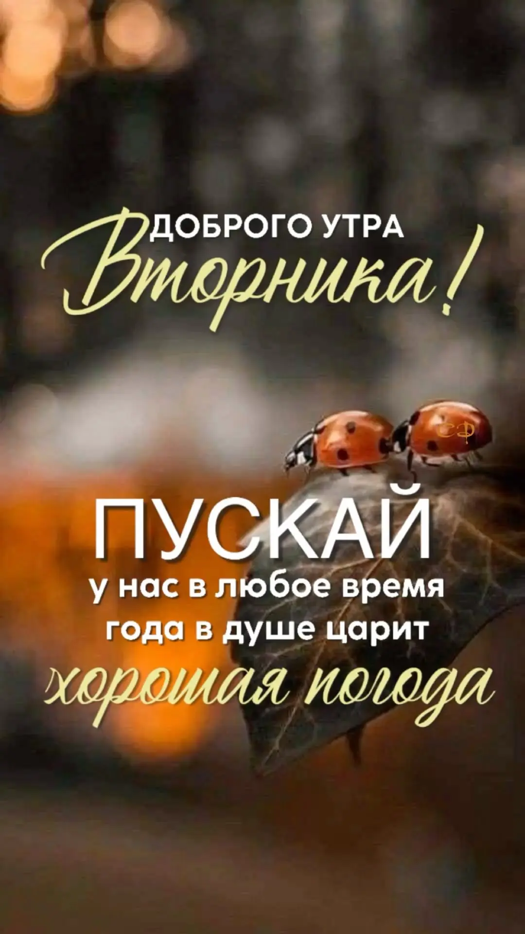 #Вторник 😊