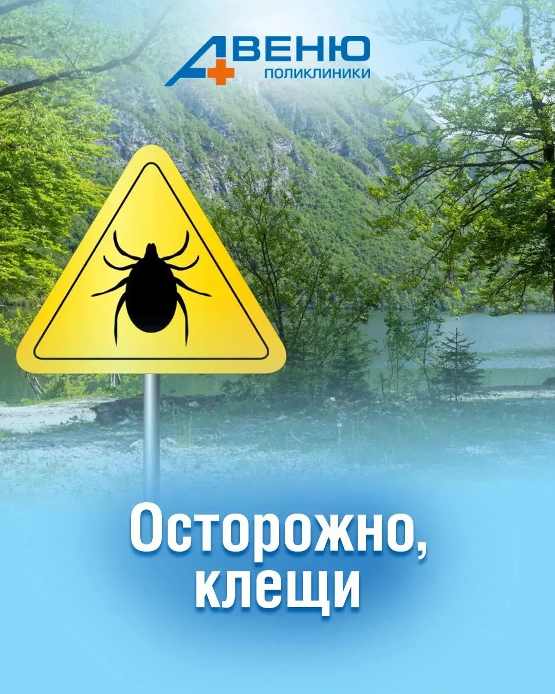 ☀️ С наступлением тепла начинается сезон клещей🕷