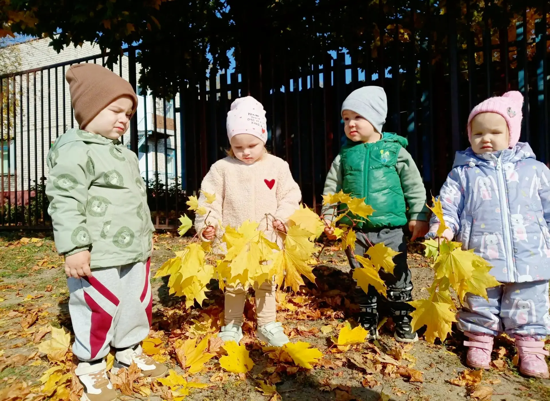 🍂 Прогулка на свежем воздухе  является первым надежным  средством укрепления здоровья ...