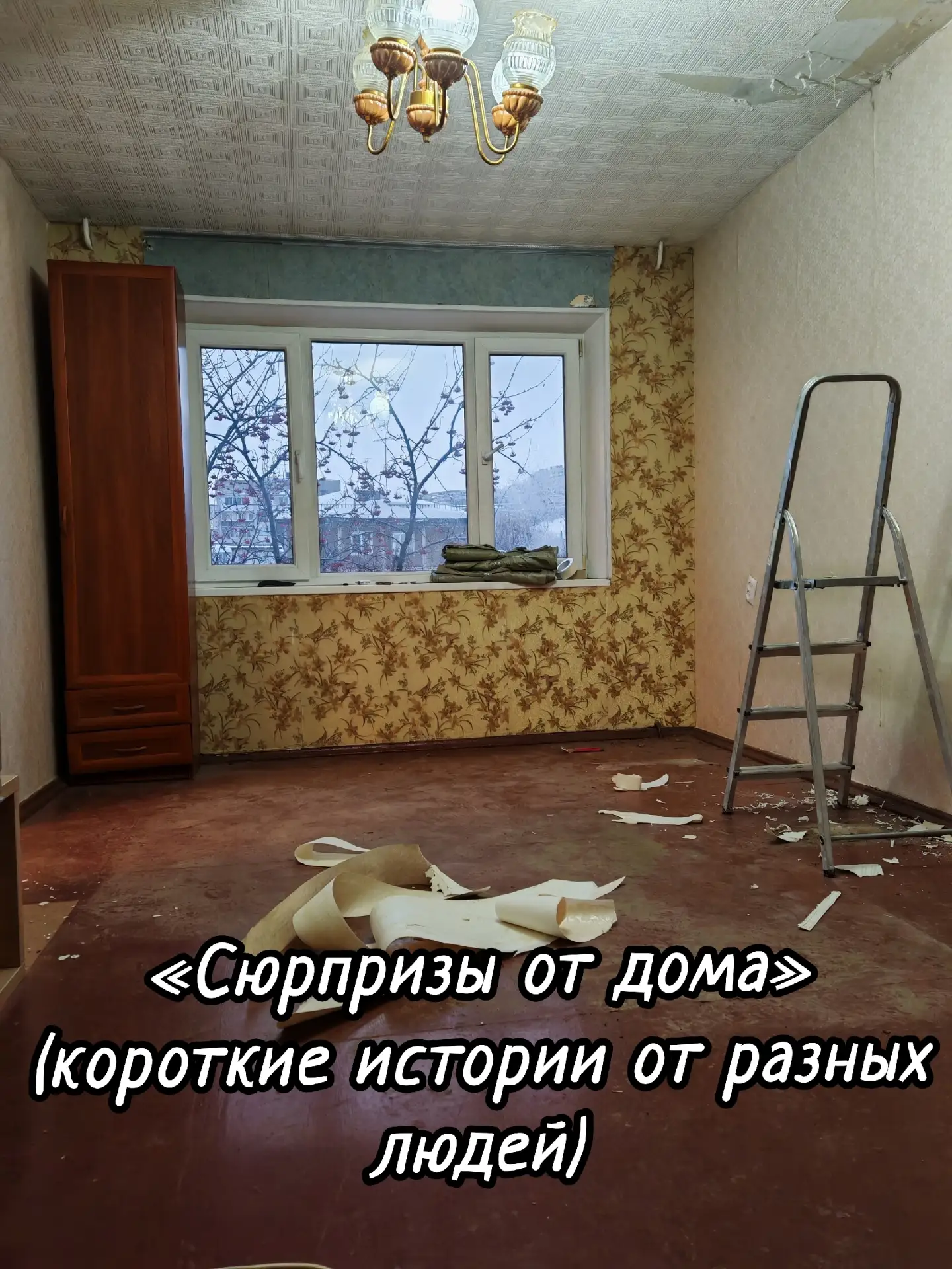 🕳 Тема-победитель №6: Сюрпризы от дома
