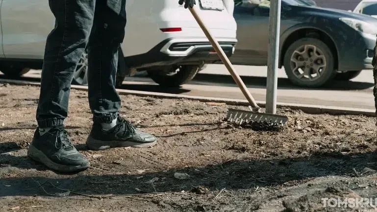 Томичей приглашают на общегородской субботник 🧹