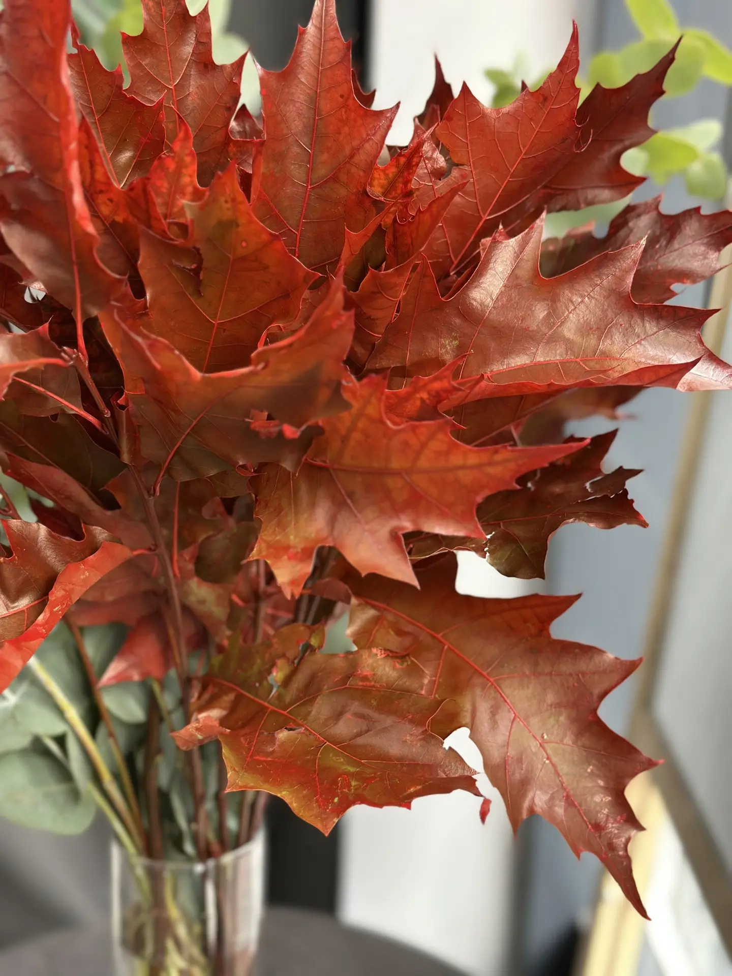 Вовсю готовимся встречать яркую осень!🍁🎃🧡