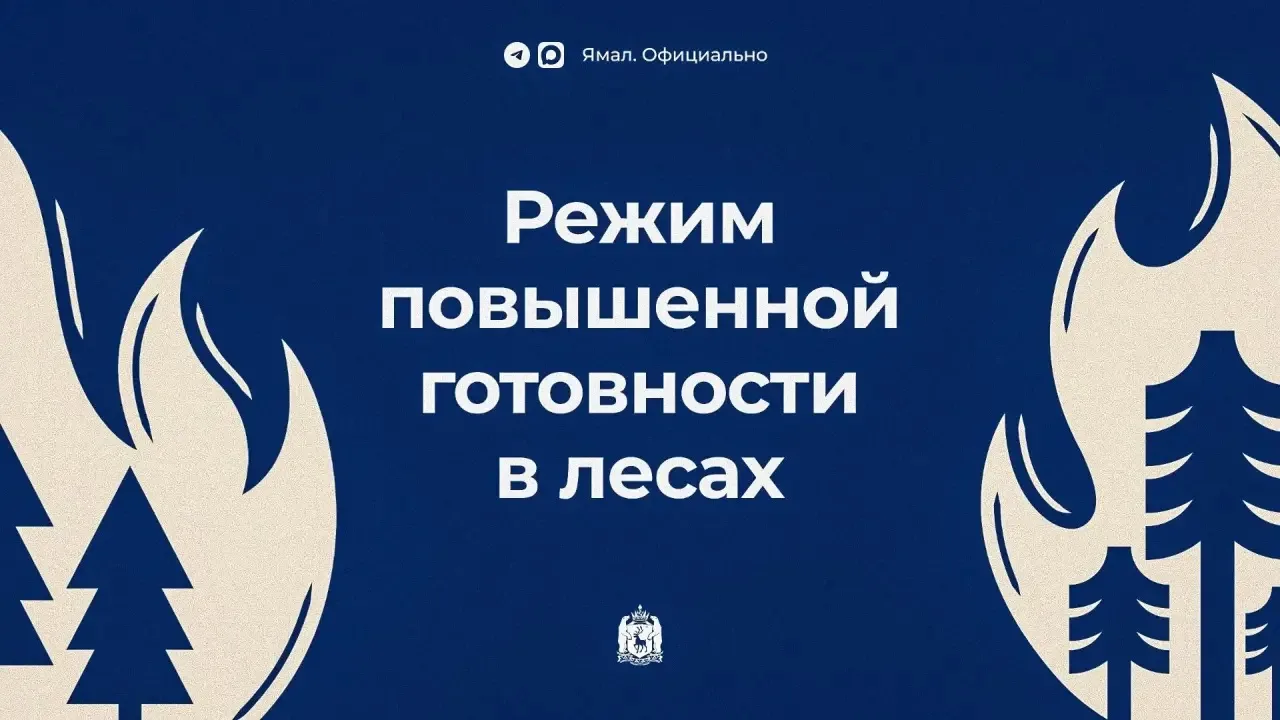 На Ямале введён режим повышенной готовности в лесах. Решение принято из-за сложной лесо...