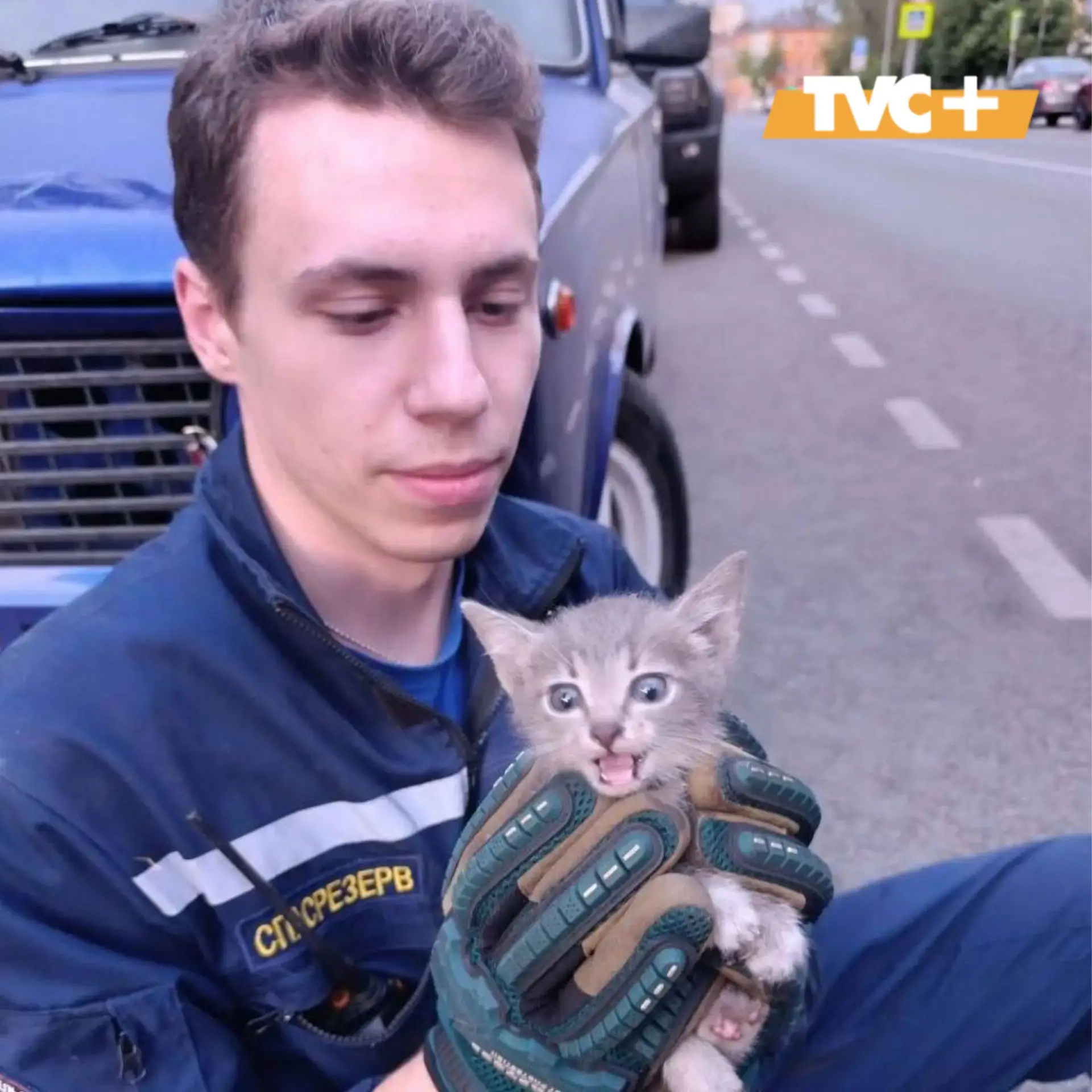 В Москве спасатели вытащили котенка, который два дня просидел под капотом «Жигулей».