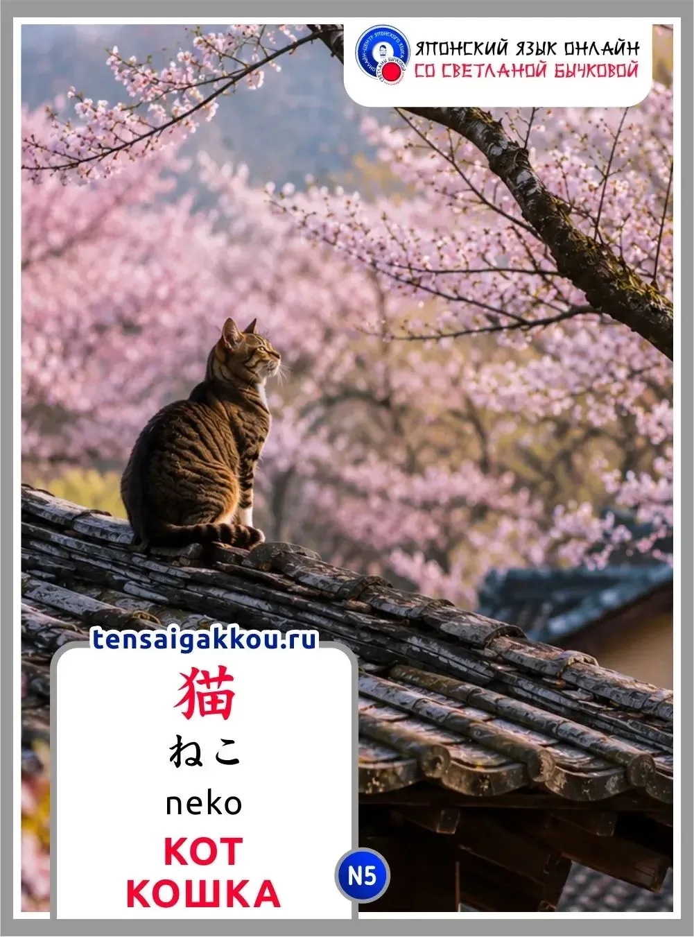 👋☺️Сегодня запоминаем слово 猫 / ねこ / neko / кот; кошка.