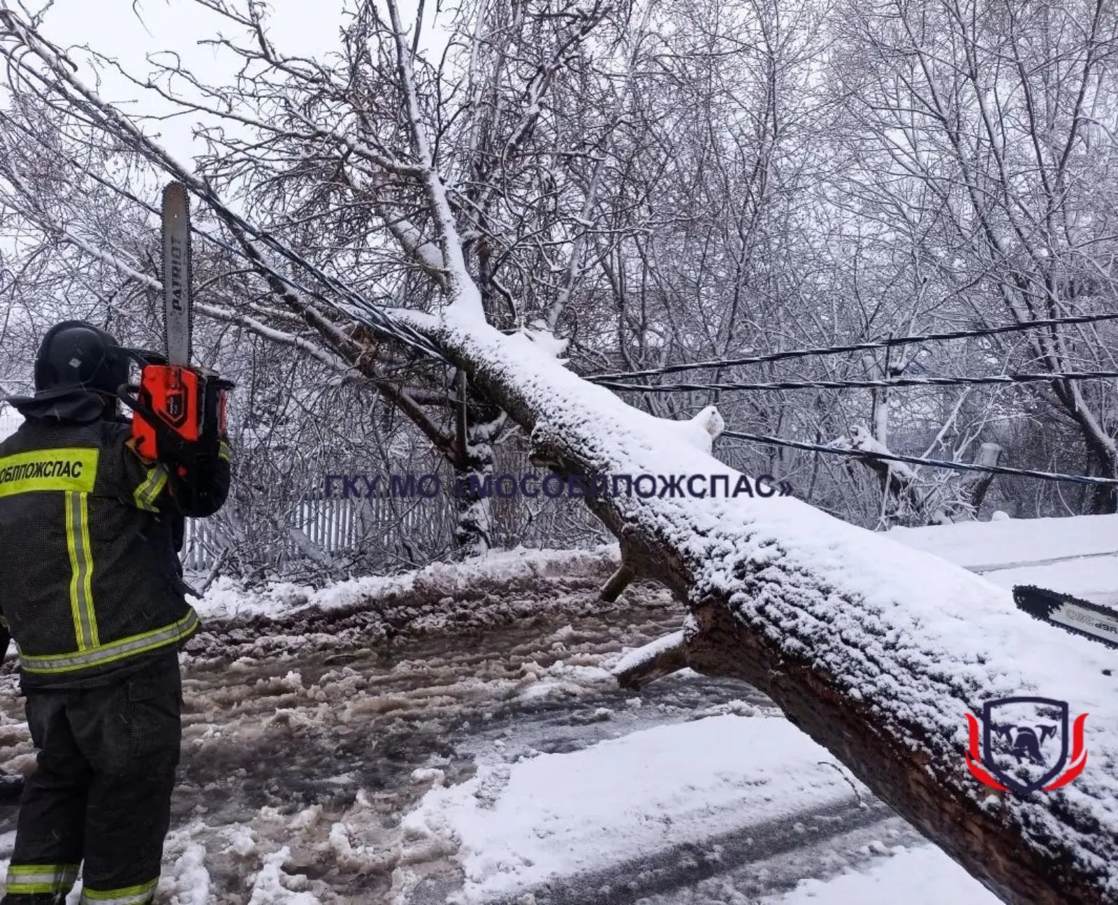 ❄️Оборванные провода, деревья на трассе. Спасатели продолжают ликвидировать последствия снегопада 🚨 