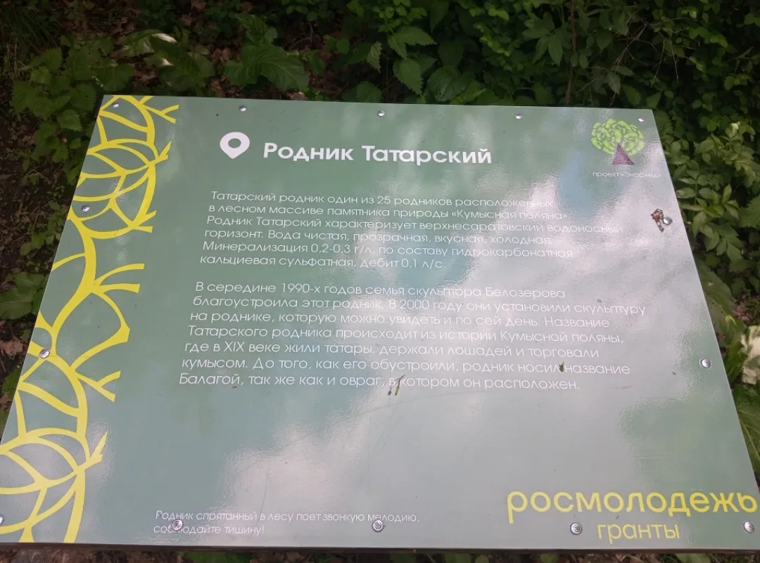 Татарский родник — это памятник природы областного значения, расположенный на территори...