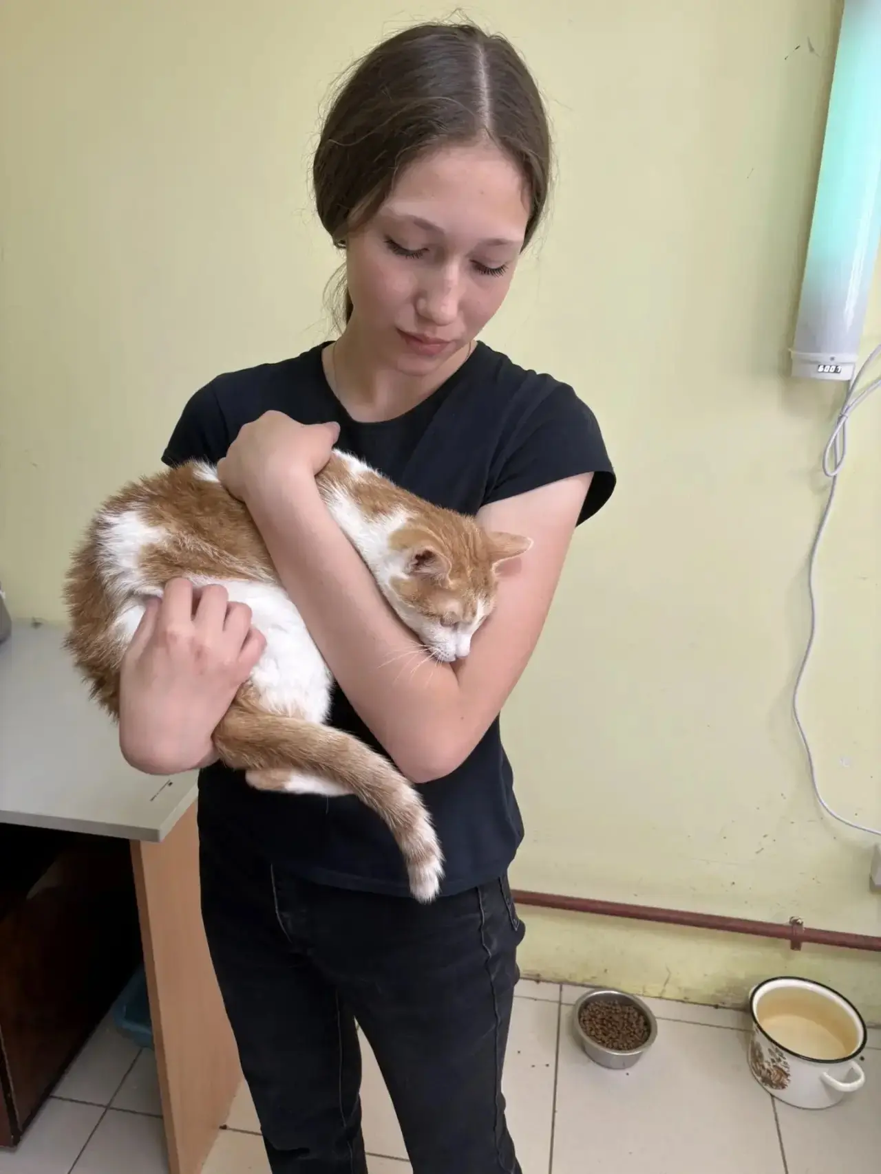 Вчера команда 6б,7в и 5а классов ( наши активисты-агитаторы волонтерской работы) посетили приют Лапк
