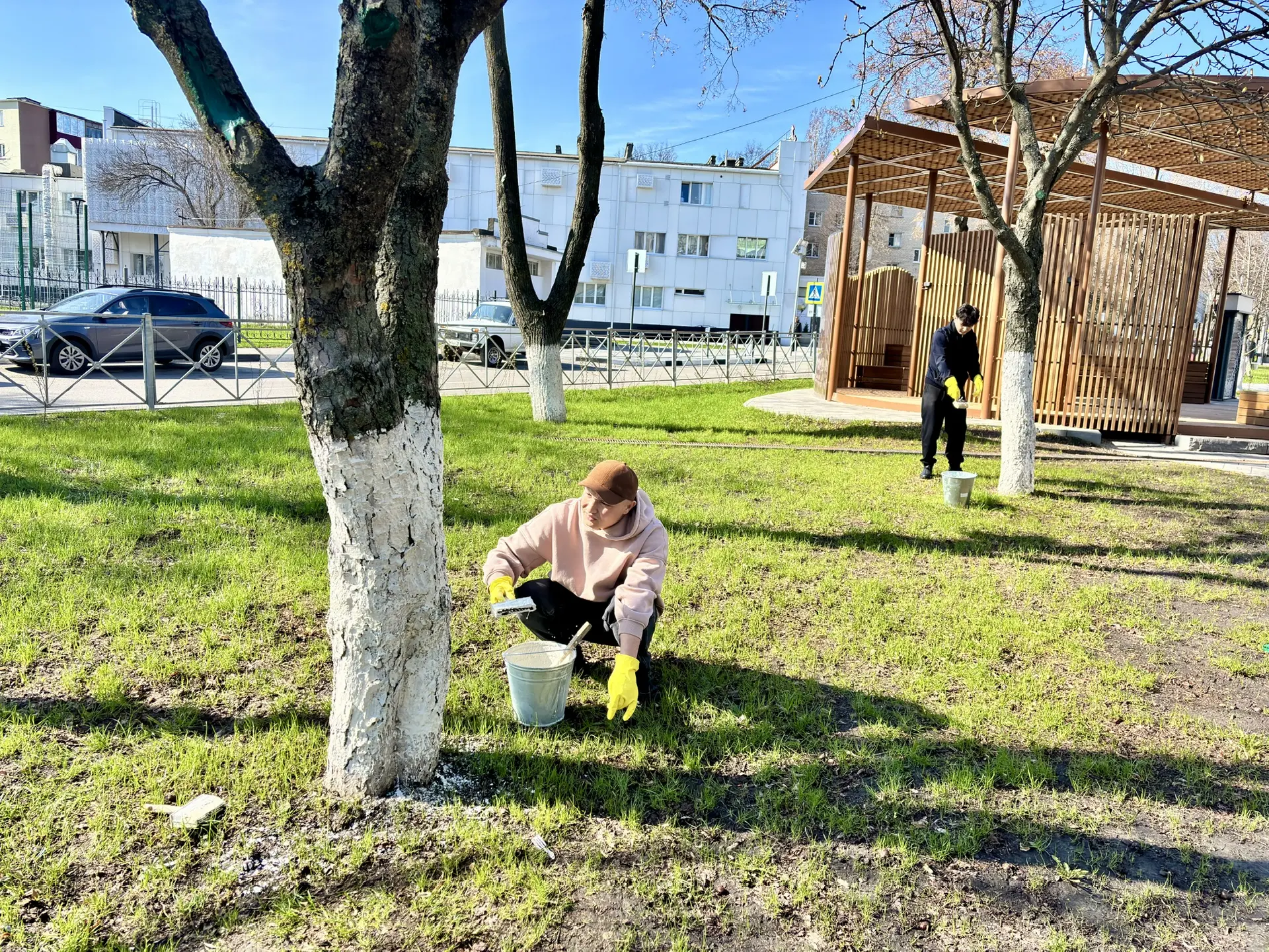 В рамках Всероссийской недели субботников «Мы за чистоту» студенты ГФ НИТУ «МИСИС» приняли участие в