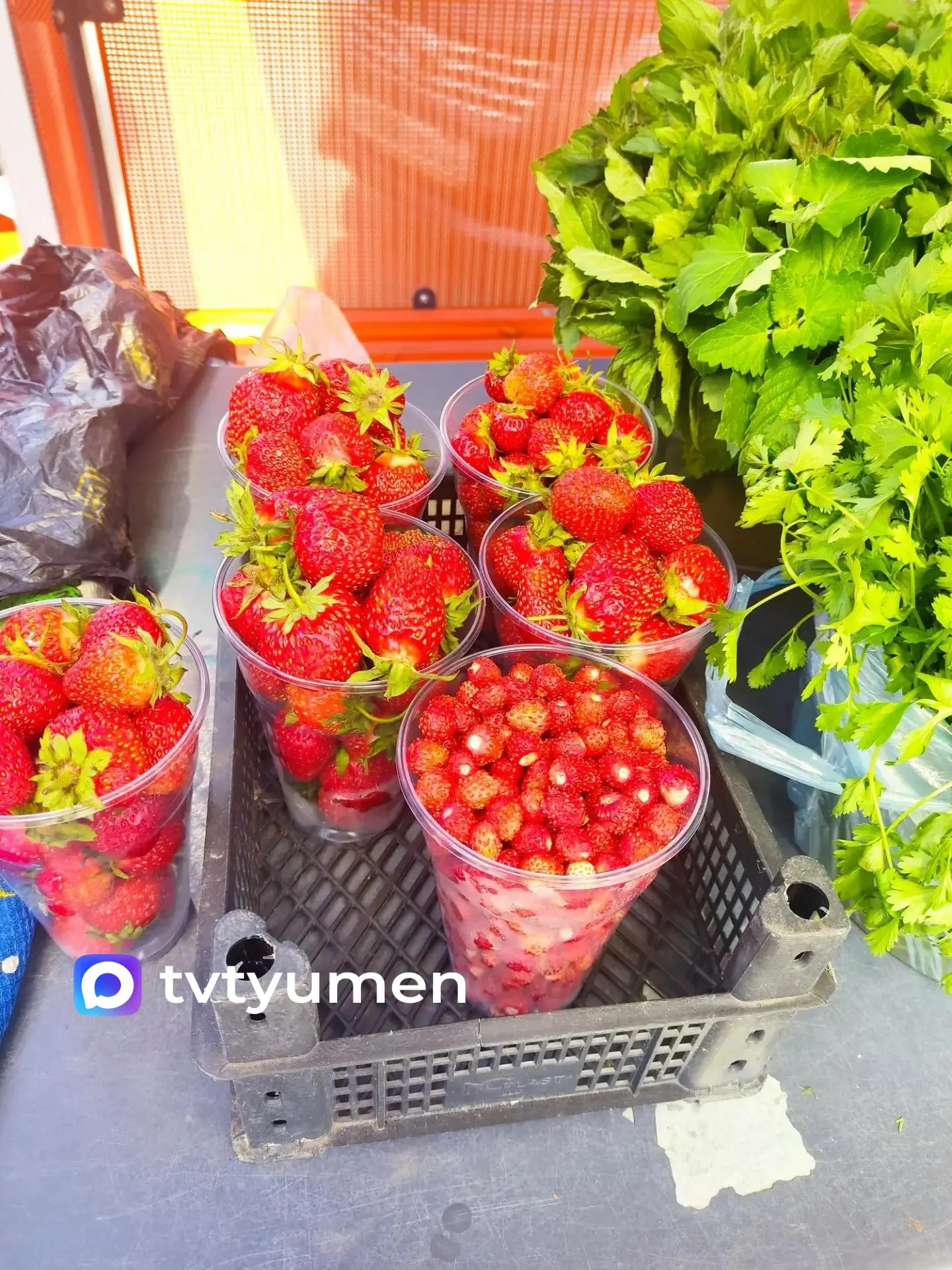 🍓Почём тюменская клубничка? 

Вот такую спелую и сочную ягоду с тюменских грядок сегодня заприметил