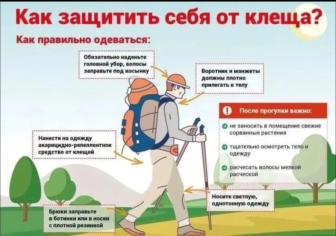 ✅ Клещи: рассказываем, как защититься  на отдыхе в парке или в лесу❗

Правильная одежда — первый бар