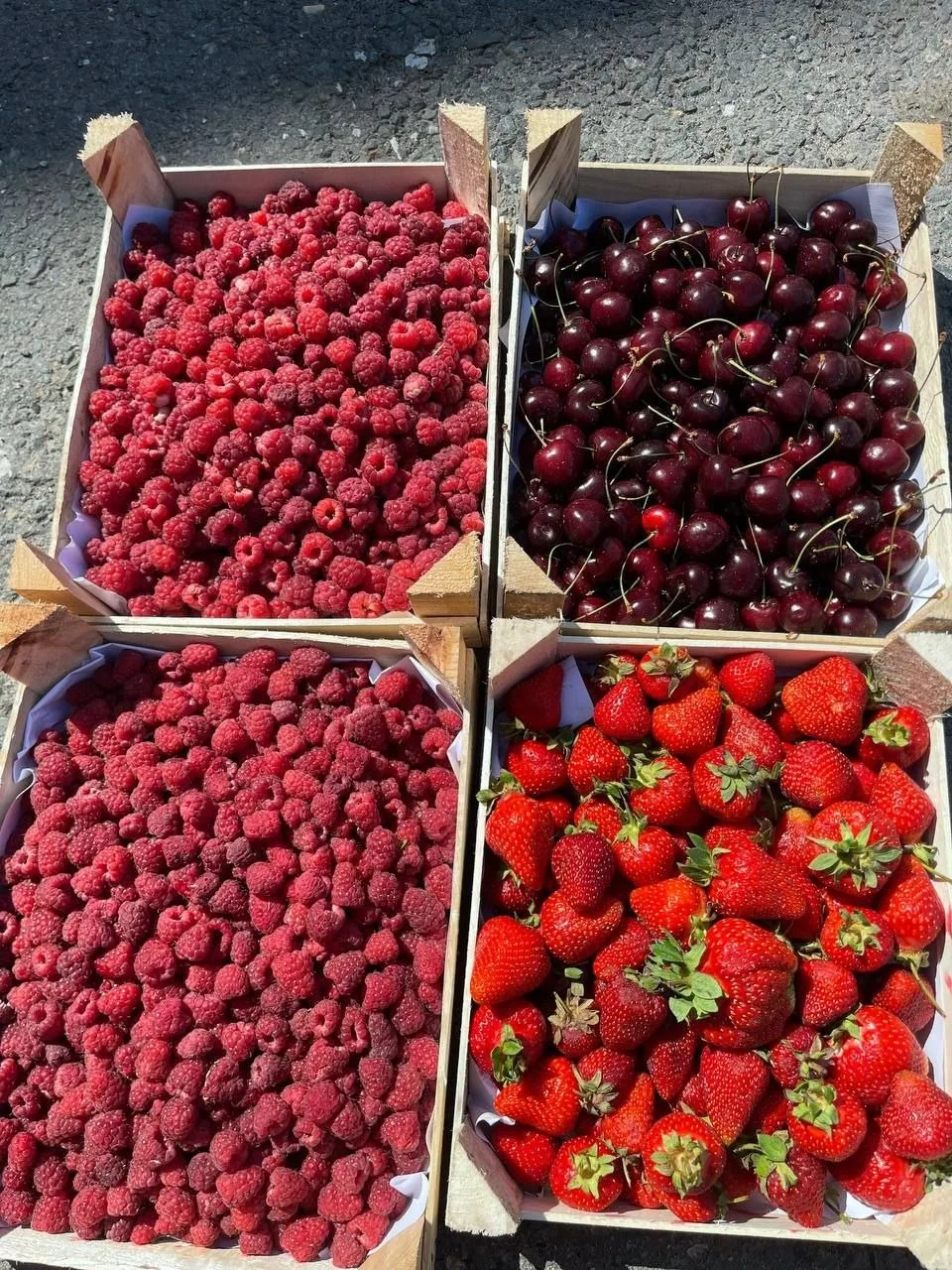 🍓 Свежую ягоду получили. Клубника, малина, черешня в наличии! 

🔆  14 июня 
Сегодня магазин работа