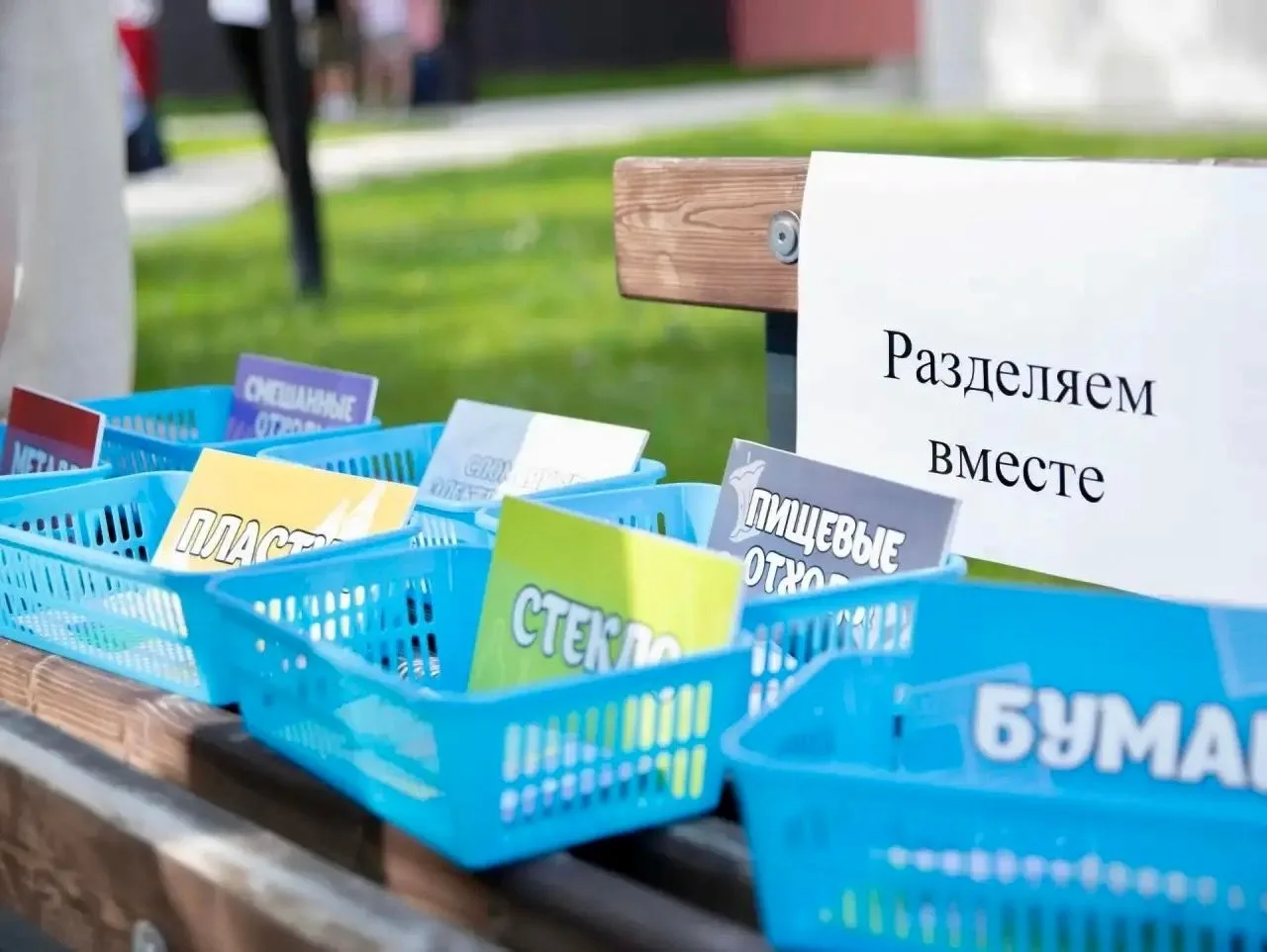 День эколога