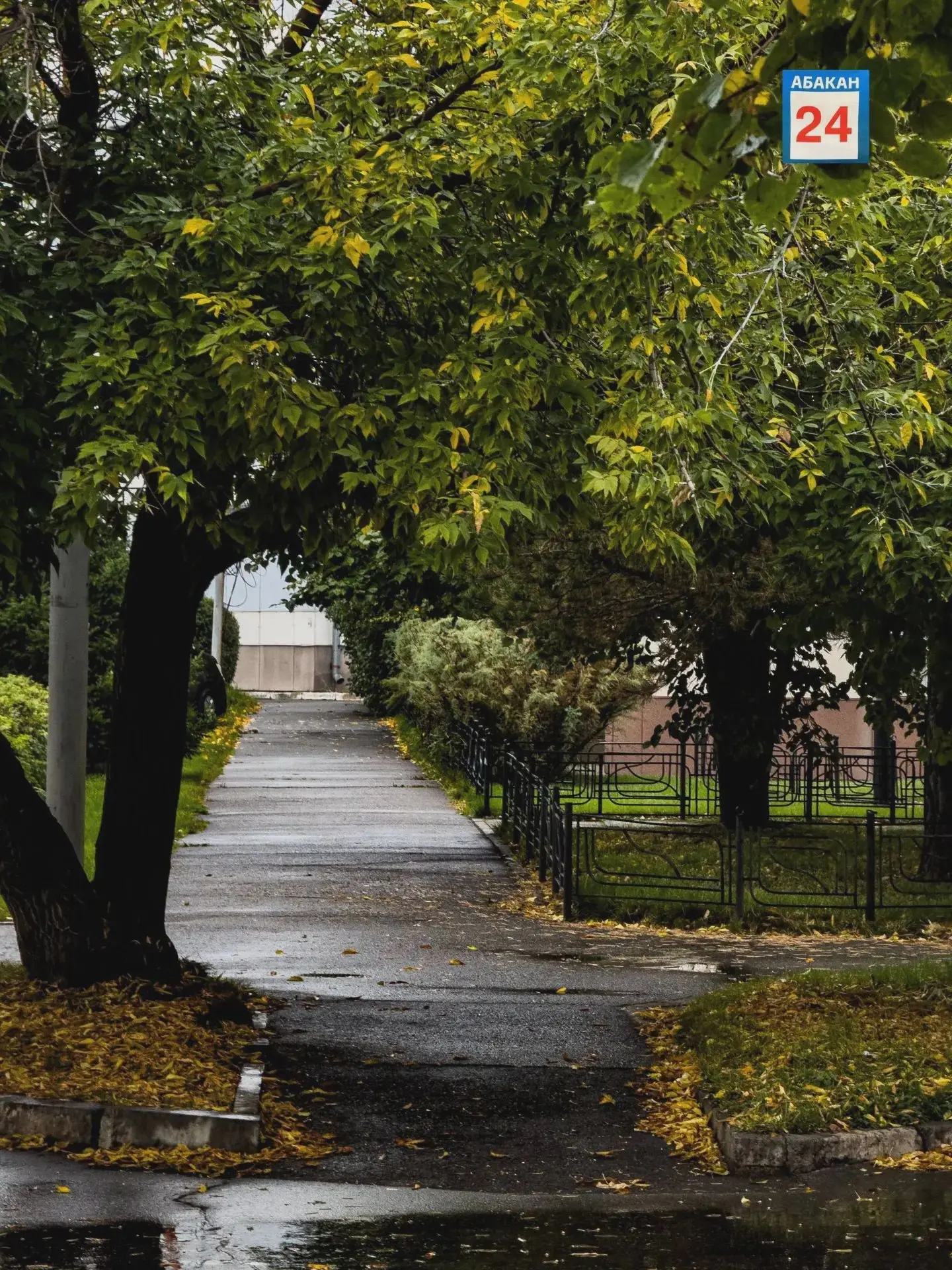 ☁️ Дождливо и ветрено: прогноз на день