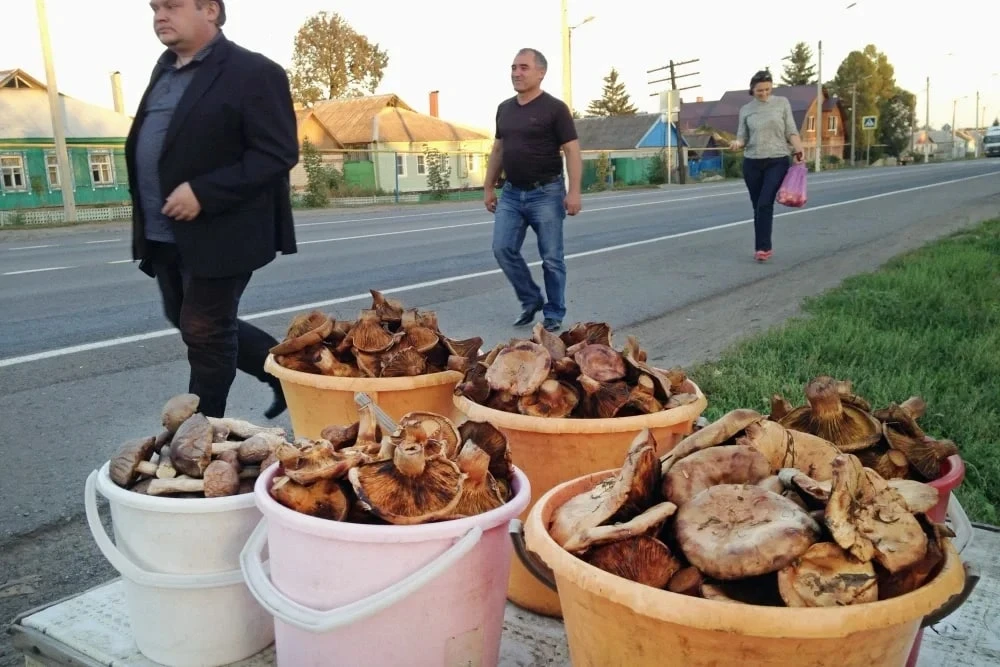 💡 Практичные советы