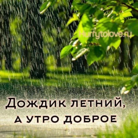 Список качественных каналов в МАХ | Подпишись!❤️