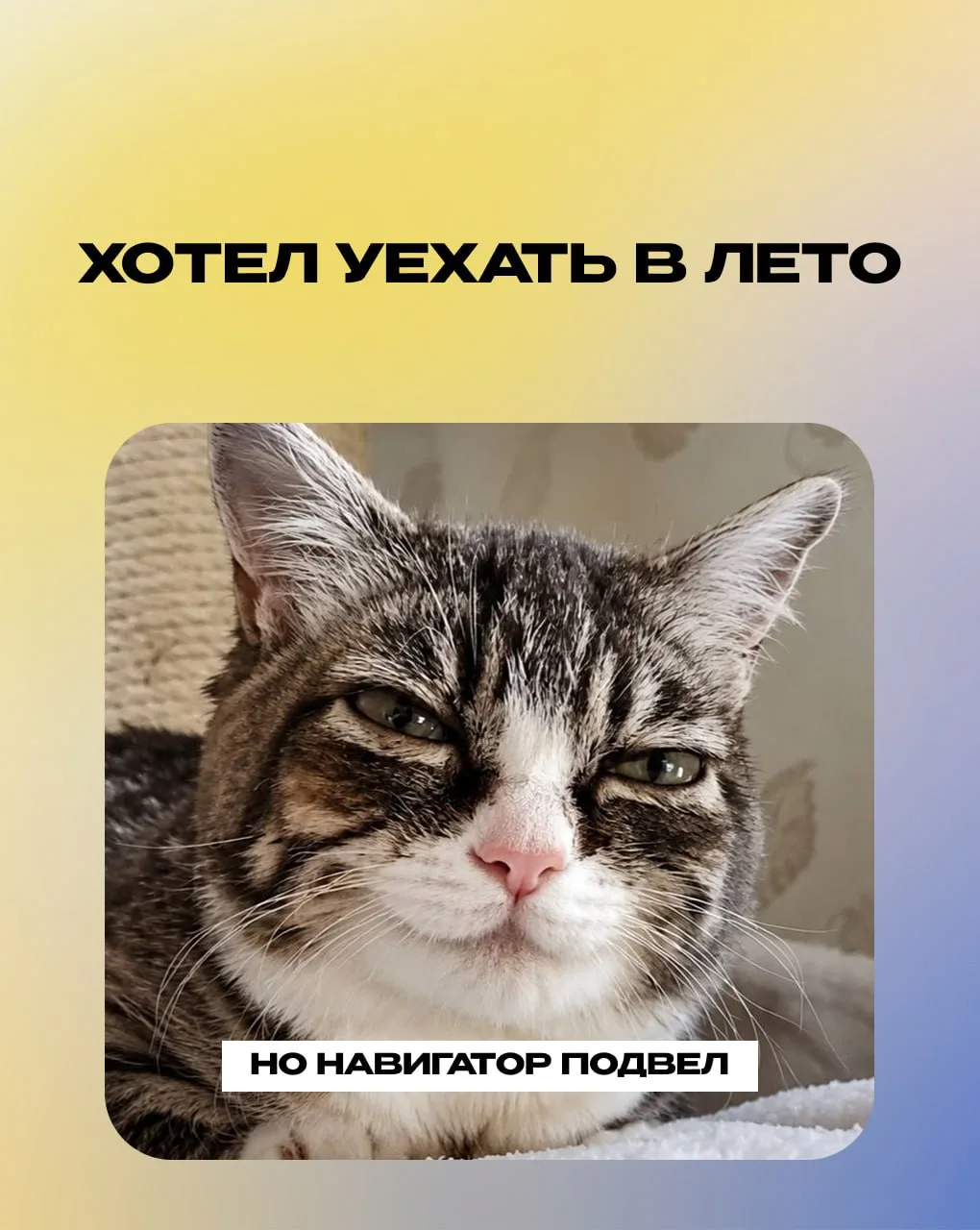Внимание всем бортам!